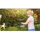 Heckenschere Bosch EasyHedgeCut 18-45 (solo)