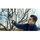 Akku-Astschere Bosch Pro Pruner