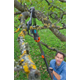 Baumschere mit Teleskopstiel Gardena Combisystem 00298-20