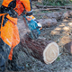 Kettensäge Makita XGT UC025GZ