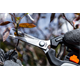 Jungtriebschere 185mm Neo 15-207