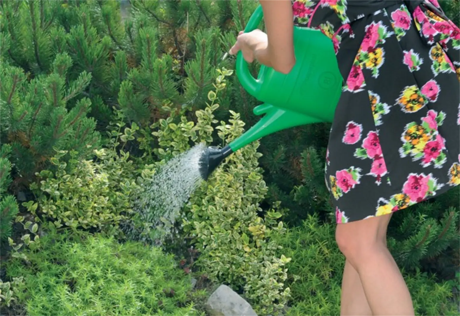 Gießkanne SPRING 3L Prosperplast IKSP03