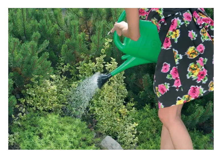 Gießkanne SPRING 3L Prosperplast IKSP03