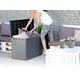 Gartenbox BOXE RATO PLUS - anthrazit Prosperplast MBRP290-S433