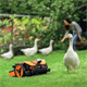 Mähroboter Worx Landroid Vision
